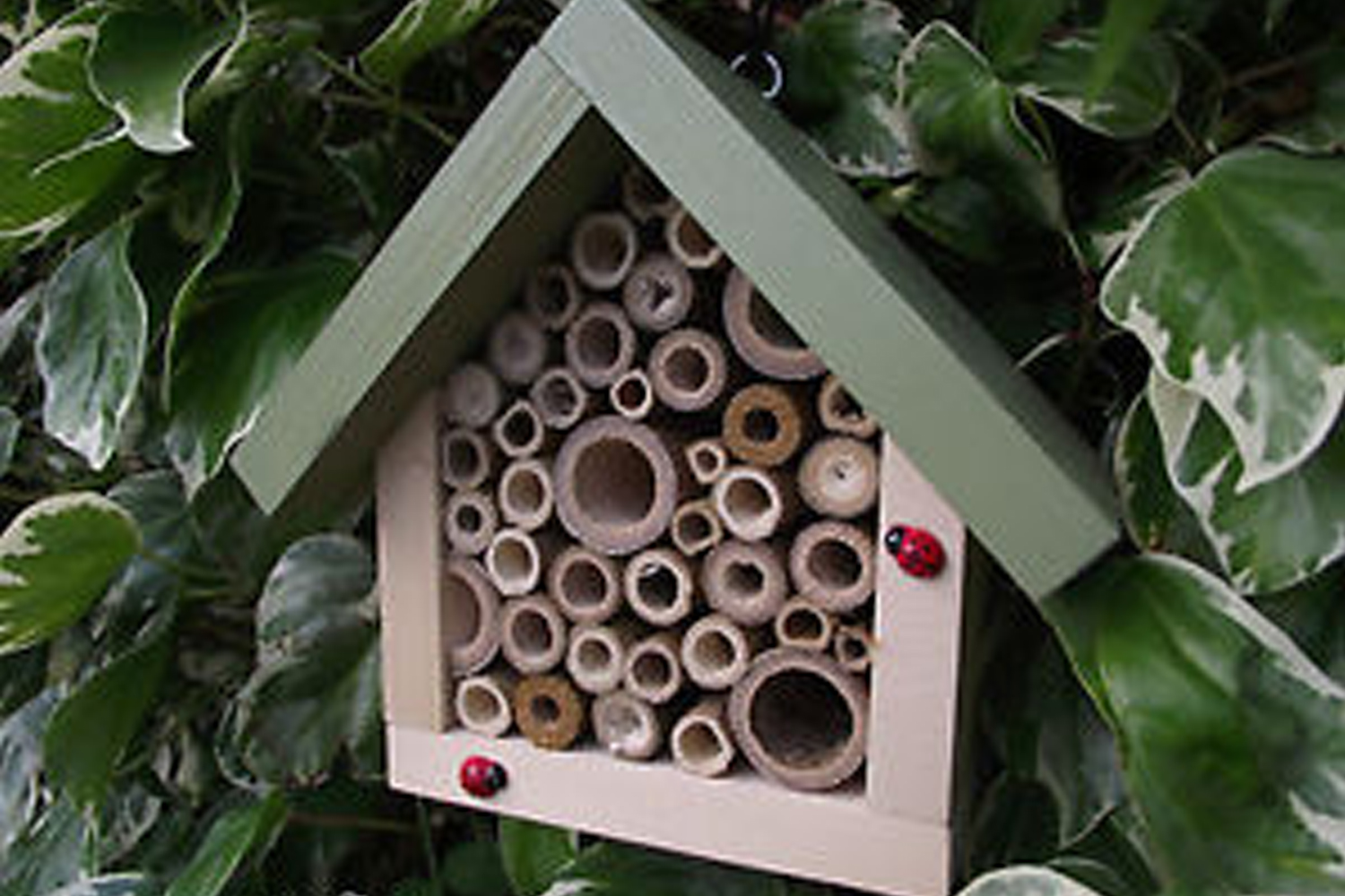 make-a-tube-bug-house